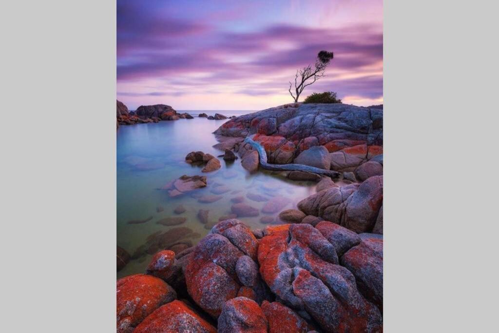 The Tin Shed Couples Accommodation At Bay Of Fires Binalong Bay Екстер'єр фото