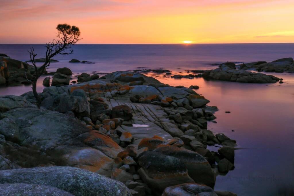 The Tin Shed Couples Accommodation At Bay Of Fires Binalong Bay Екстер'єр фото