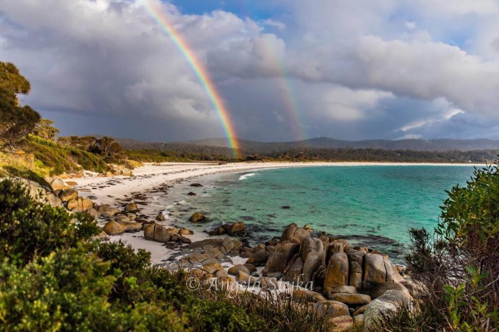 The Tin Shed Couples Accommodation At Bay Of Fires Binalong Bay Екстер'єр фото